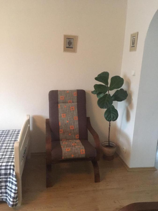 Apartma U Hovorku Appartement Županovice Buitenkant foto